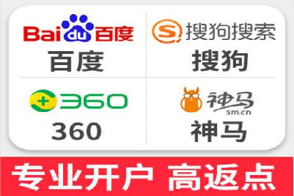 行业领先企业的SEM代理案例剖析